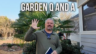 Garden Talks, Slow Wake Up, Plant Dieback, Root Flare, Grafting - Garden Question and Answer