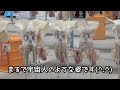 【沖縄奥武島】揚げたてがうまい！アツアツの天ぷら