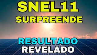 #SNEL11: Dividendos Consistentes, MAS Encontramos um PROBLEMA Grave!