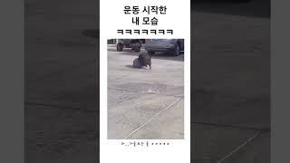 운동 시작한 내 모습 ㅋㅋㅋㅋㅋㅋㅋ