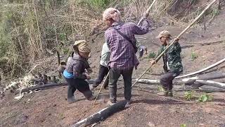 Thinglhang changtu/changkho || Paddy/rice sowing technique in jhumming/shifting cultivation by kukis