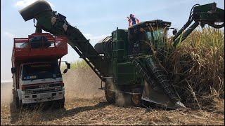 สายหวานอีกแปลงกับเจ้าJohn Deere 3520ตัดอ้อยสดวิ่งคู่สิบล้อตัวแรง#ทีมงานไร่สมบูรณ์ทรัพย์ #Thailand