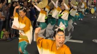 やっとこ連（下北沢）／ 第46回 初台阿波踊り2015 二日目