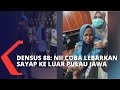 Suami Penerobos Istana Negara Dibaiat NII, Densus 88: Eksistensi NII Masih Ada