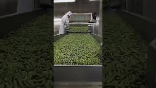 Best Frozen Edamame From Chinese Factory Direct Sales