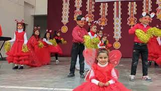 christmas celebrations ⭐ @St John vianney school gwalior .