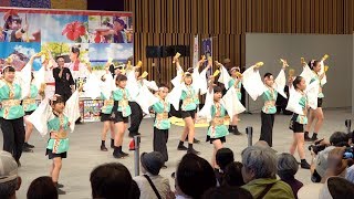 team清門 - 清春の輝き [2018.06.02 埼玉東部三大演舞祭]