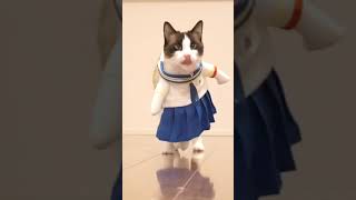 新しい学校のリーダーズと似てるセーラー服を着たにゃん！ #shorts Cat wearing sailor suit #オトナブルー