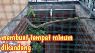 cara membuat sirkulasi air mengalir dikandang burung cucak rowo, murai, jalak, wambie, poho.