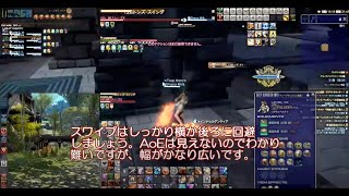 FF14 アメノミハシラ 初心者向け 解説動画 目指せ100Fクリア編