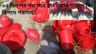 যে বিষয়গুলো না যানলে আপনিও আমার মতো ক্ষতির সম্মুখীন হবেন। ৪৫,০০০ টাকার ক্ষতি হয়েছিলো। Srk Agro  Farm