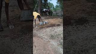 My Daily work #trending #vivasayee #shortvideo #vivasaye #vivasayam #farming #shorts