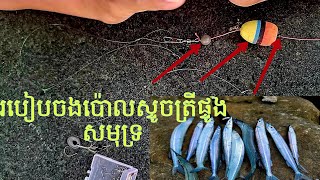 របៀបចងប៉ោលស្ទូចត្រីផ្ទូងសមុទ្រ