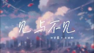 见与不见 【Live歌词】-张碧晨\u0026王赫野 【见与不见  不可再见 才叫人间】