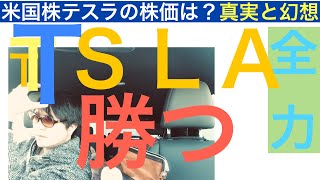 TSLAテスラ株で勝つ【全力】株価上昇で今後は？モデルY値引は○○○だ！