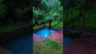 natural swimming pool #wandoor #nature #love #shots