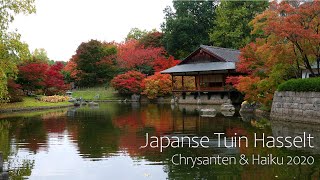 Chrysanten \u0026 Haiku in Japanse Tuin Hasselt 2020. Herfst wandeling met AMAI. 【紅葉で染まる欧州最大の日本庭園。菊と俳句。】