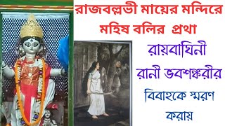 RAJBALLAVI MAYER MANDIRE MAHIS BALI PRATHA. রাজবল্লভী মায়ের মন্দিরে মহিষ বলি প্রথা ।