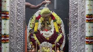 shree vadanabail padmavathi devi mahamangalarathi date 01-01-2025