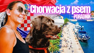 Chorwacja z psem 🇭🇷 Wszystko co musisz wiedzieć