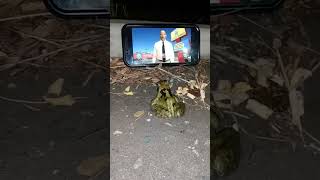 frog joins the los pollos hermanos community #breakingbad #bettercallsaul