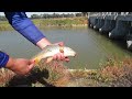 my first time fishing the mulwala canal in deniliquin