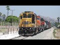 santa fe classic on the pasadena subdivision ~ bnsf local ~ 5 16 2022 bnsf 169 117 131