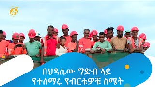 በህዳሴው ግድብ ስራ  ላይ የተሰማሩ የብርቱዎቹ ስሜት