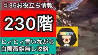 【ロマサガ RS】230階‼️白薔薇姫無しで世界塔230階をヒィヒィ言いながら攻略動画😭