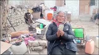 Ladakh choklamsaar ✅ camp 12 | grandma rigdol 79 yo a surprise monthly stipend