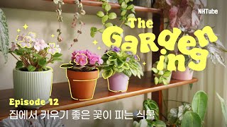 NH식물원 - THE GardeningㅣEP.12 집에서 키우기 좋은 꽃이 피는 식물 🪴