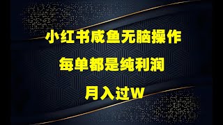 小红书咸鱼无脑操作，每单利润都是纯利润，小白即可上手，月入过W