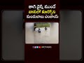 తాగి వైన్స్ ముందే వానలో మందుబాబు హల్ చల్.. 🤣 alcohol drinker wines shorts reels funny comedy