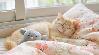 Music for Cats to Fall Into Deep Sleep - Sleeping Music for Nervous Cats with Cat purring sounds