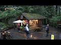 【k】canada travel west vancouver 캐나다 여행 웨스트밴쿠버 캐필라노 현수교 capilano suspension bridge tree top