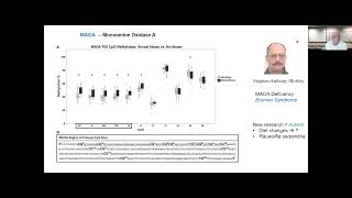 HG Behavior - MAOa   Brunner Syndrome