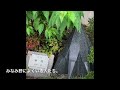 新興住宅地、八王子みなみ野の面白さを伝える動画を作ってみました。是非行って確認してほしいです（東京都 八王子市 八王子みなみ野駅周辺）【セレブの街】【高級住宅街】