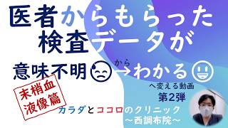 医者からもらった検査データ・・・ 説明も無いから意味がわからない・・・❓❓❓ を  💡わかる❗にする動画 「検査わかるシリーズ」第2弾 末梢血液「像」；白血球の質と割合を見る検査についてお話します