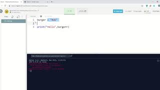 PYTHON - QUIZ 2 Outputs Variables and Inputs