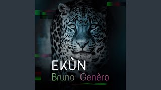 Ekùn