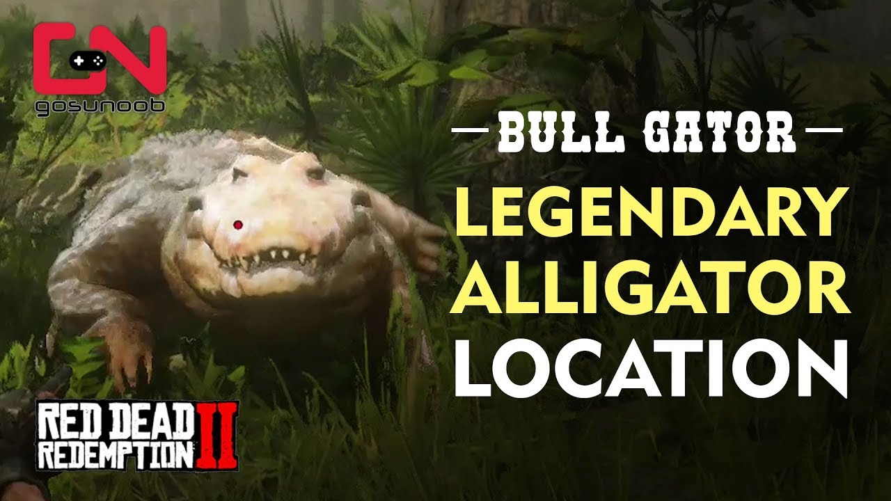 Red Dead Redemption 2 - Legendary Alligator Location - Bull Gator - YouTube