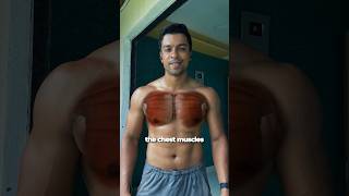 Dont Feel Chest With Pushups Fix It