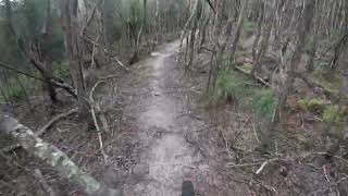 Bluetopia, Wild Mersey mtb trails raw