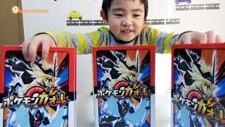 ポケモンガオーレ ガオーレファイル 2にガオーレディスクを収納しました♪