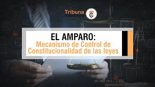 EL AMPARO: Mecanismo de Control de Constitucionalidad - TC # 328