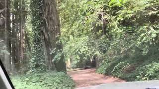 Exiting Eel River 4x4 area