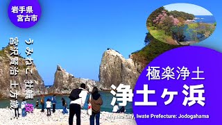 岩手県宮古市「浄土ヶ浜」「さながら極楽浄土のごとし」松の緑と岩肌の白、海の群青とのコントラストはまさに一見の価値ありJodogahama \