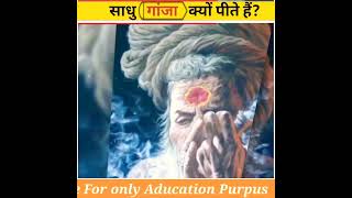 साधु गांजा क्यों पीते है🤯? Why do sadhus smoke chilam#shorts #sadhu #kumbh #weed #ganjachilam#aghori