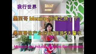 vlog31A journey of terror in Mexico （3）The sex industry in Mexico/the highest level of hospitality,