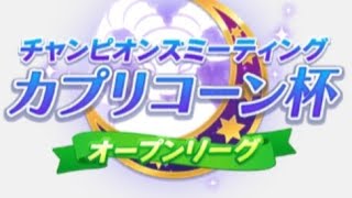 カプリコーン杯2023 オープン A決勝戦！ タイシン！団長！ワンツーフィニッシュ！！